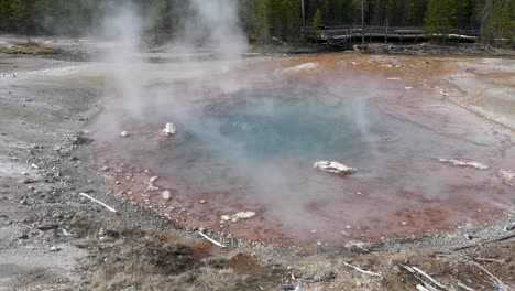 Hot-Spring-in-Yellowstone-National-Park