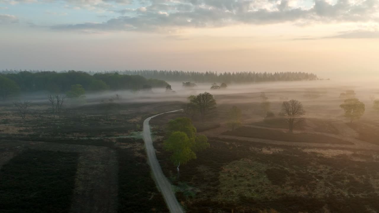 헤이드 풍경 위의 안개가 가득한 해가 뜨는 모습