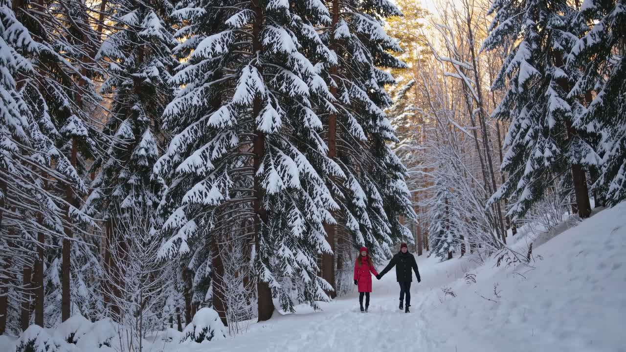 A serene winter scene video captures a couple walking through a snow-covered forest