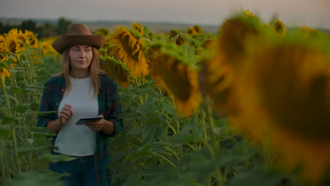 una niña entre girasoles altos escribe sus características en su ipad. está preparando un trabajo científico sobre botánica.