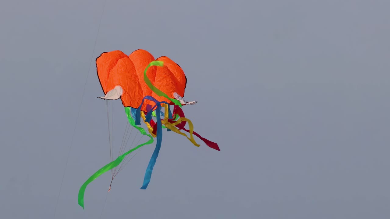An orange kite with vibrant tails dances dynamically against a clear sky.