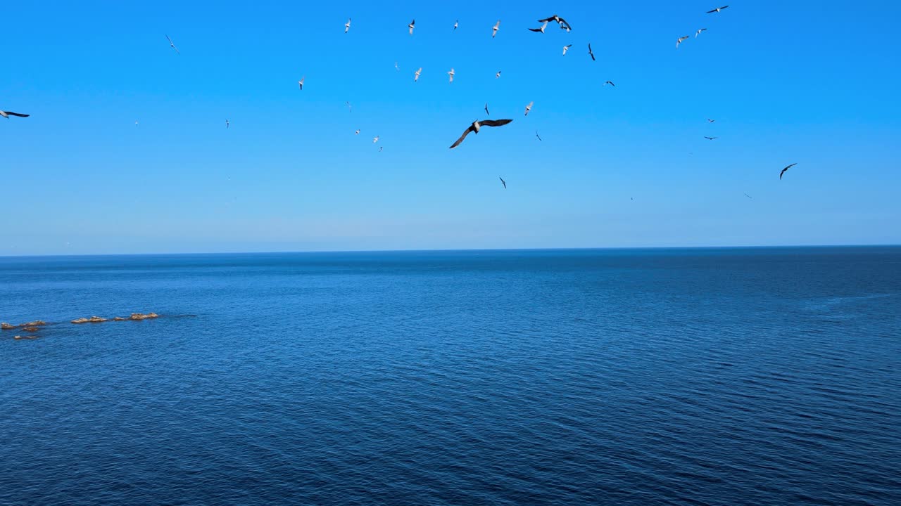 A breathtaking view of rugged cliffs meeting the tranquil blue sea, capturing the raw beauty of nature in a serene coastal landscape.
