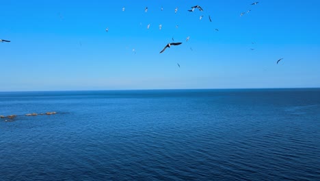 a breathtaking view of rugged cliffs meeting the tranquil blue sea, capturing the raw beauty of nature in a serene coastal landscape.