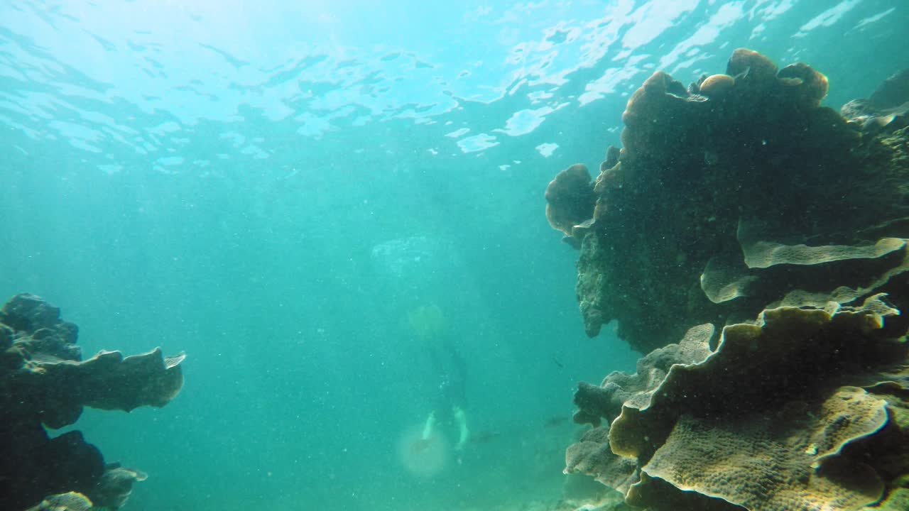 un buzo disfrutando del paisaje submarino de ko kradan, tailandia
