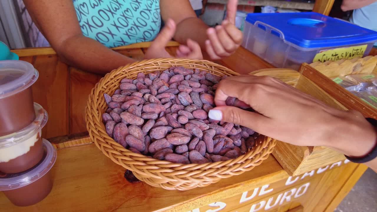 POV of cocoa beans in a basket at an artisanal chocolate showroom in Chuao, Aragua, Venezuela