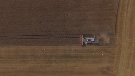 Mähdrescher-Schwere-Landwirtschaftliche-Maschinen-Arbeiten-Im-Landwirtschaftlichen-Bereich