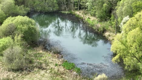 aerial shot of a bird diving in a pond