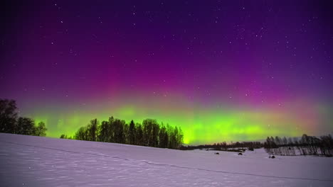 Colorful-timelapse-of-dancing-purple-and-green-northern-lights-on-the-horizon-in-Scandinavia
