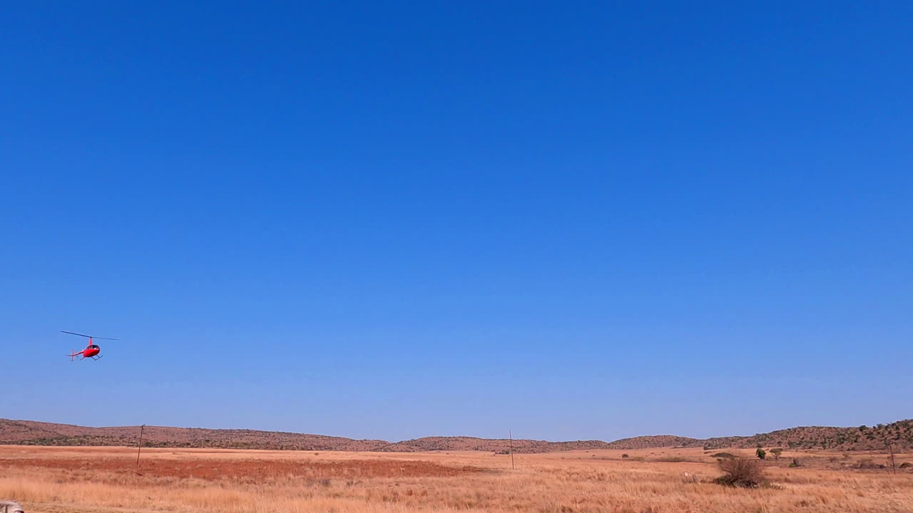 야생 동물 인구 조사에 사용 된 빨간 헬리터는 건조한 아프리카 풍경에 착륙합니다.