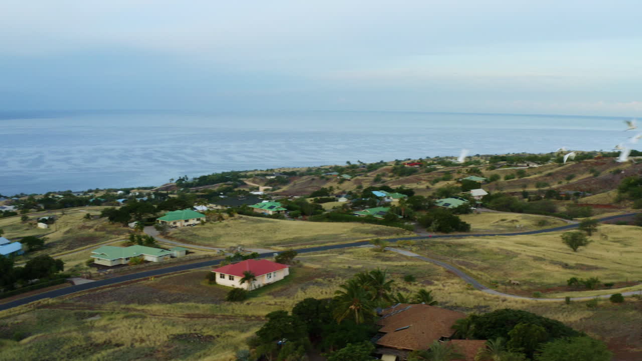pájaros blancos volando sobre el terreno costero en hawai, dron 4k