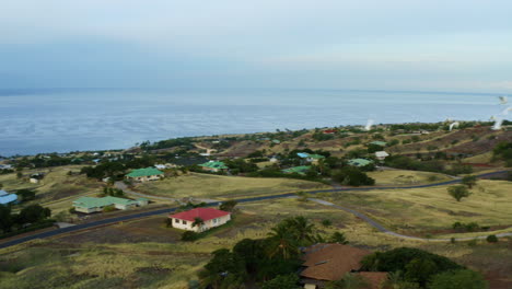 white birds flying over coastal terrain in hawaii, 4k drone