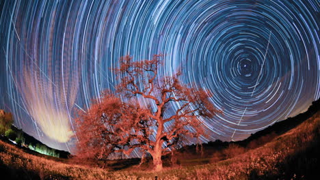 time lapse star trail streaks over a valley oak tree near ojai california