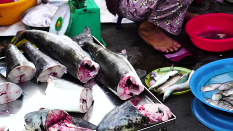 fresh cleaned fish market of phan thiet in vietnam, motion view