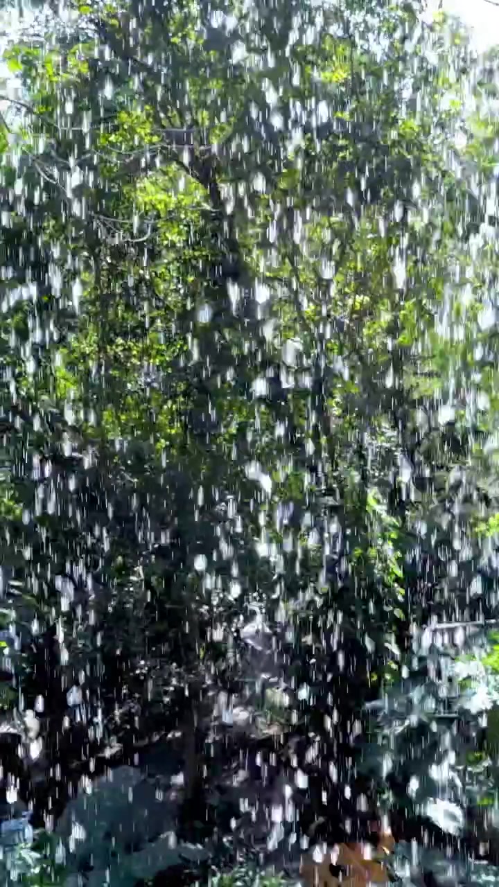 Agua cayendo en cascada en un vibrante jardín verde