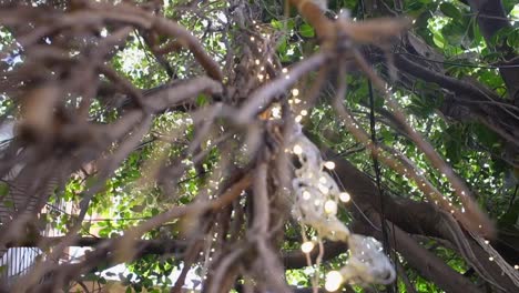 tree-decorated-with-plants-in-front-of-restaurent-360d-view