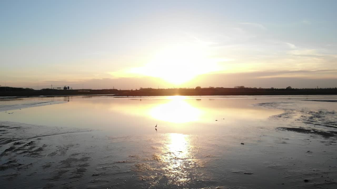 석양에 네덜란드 헨드릭이도 암바흐트에 있는 새로운 크레지폴더 자연 보호 구역의 잔잔한 물을 헤엄치는 새들