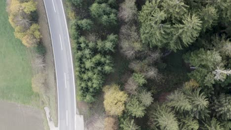 drone flight over forest and road with bird's eye view