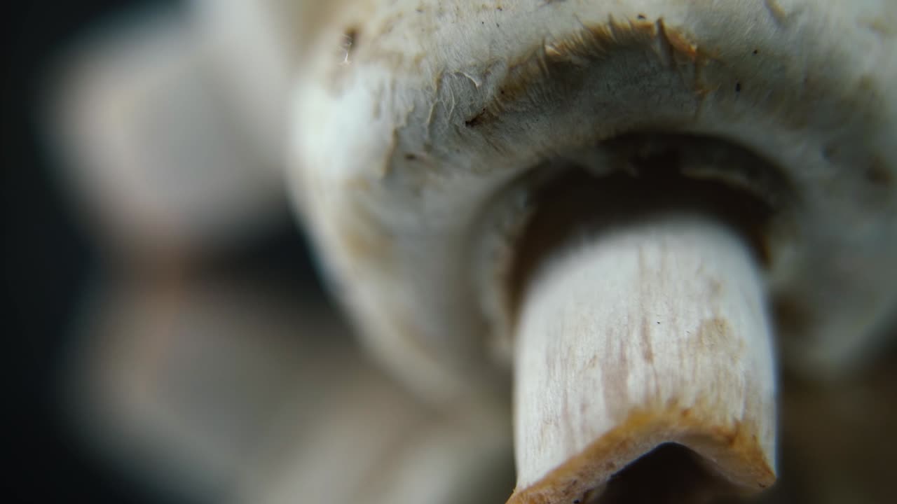 Video macro onirico di un mucchio di funghi, champignon RAW dettagliati, riflesso dei cappelli bianchi, su un supporto rotante, movimento fluido, slow motion a 120fps