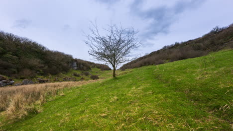 timelapse of rural nature farmland with single tree in grass field during cloudy day viewed from carrowkeel in county sligo in ireland