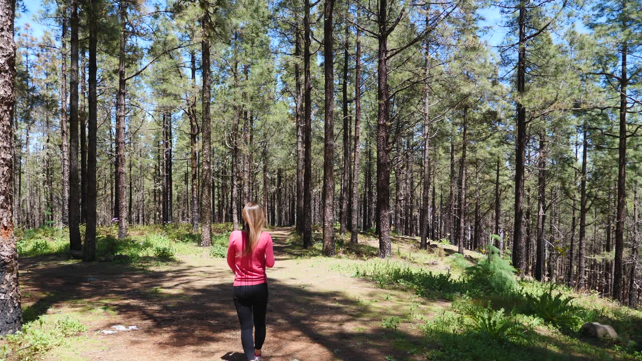 Mulher se afastando em uma trilha por uma floresta de pinheiros em um dia ensolarado em Tejeda, Gran Canaria