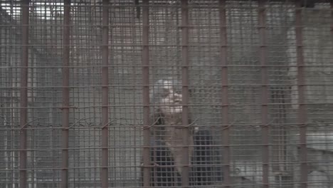 scary female moving sensual inside old and rusty prison cell while smiling