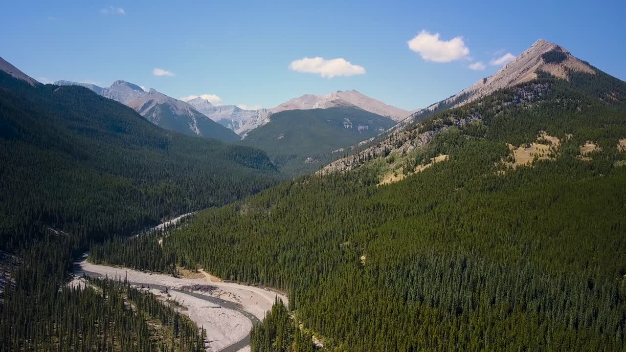 plano diurno aéreo volando hacia adelante sobre un bosque de pinos de verano y las curvas y curvas de un rápido río empinado que fluye desde los picos de las montañas rocosas en alberta, canadá