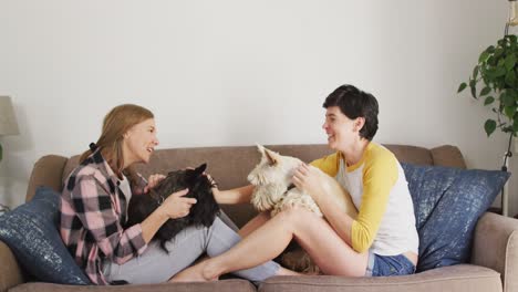 caucasian lesbian couple playing with their dogs sitting on the couch at home