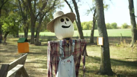 pumpkin scarecrow at halloween pumpkin patch