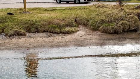 Lake-shore-of-Torch-Lake,-Michigan