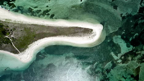 aerial drone shot of isla de enmedio in the veracruz reef system