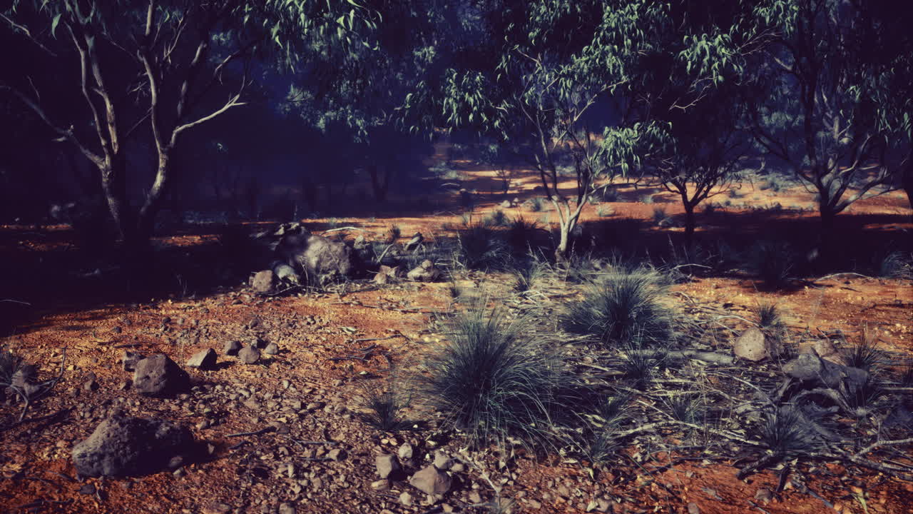 Vibrant australian landscape showcasing rich earth tones and lush flora