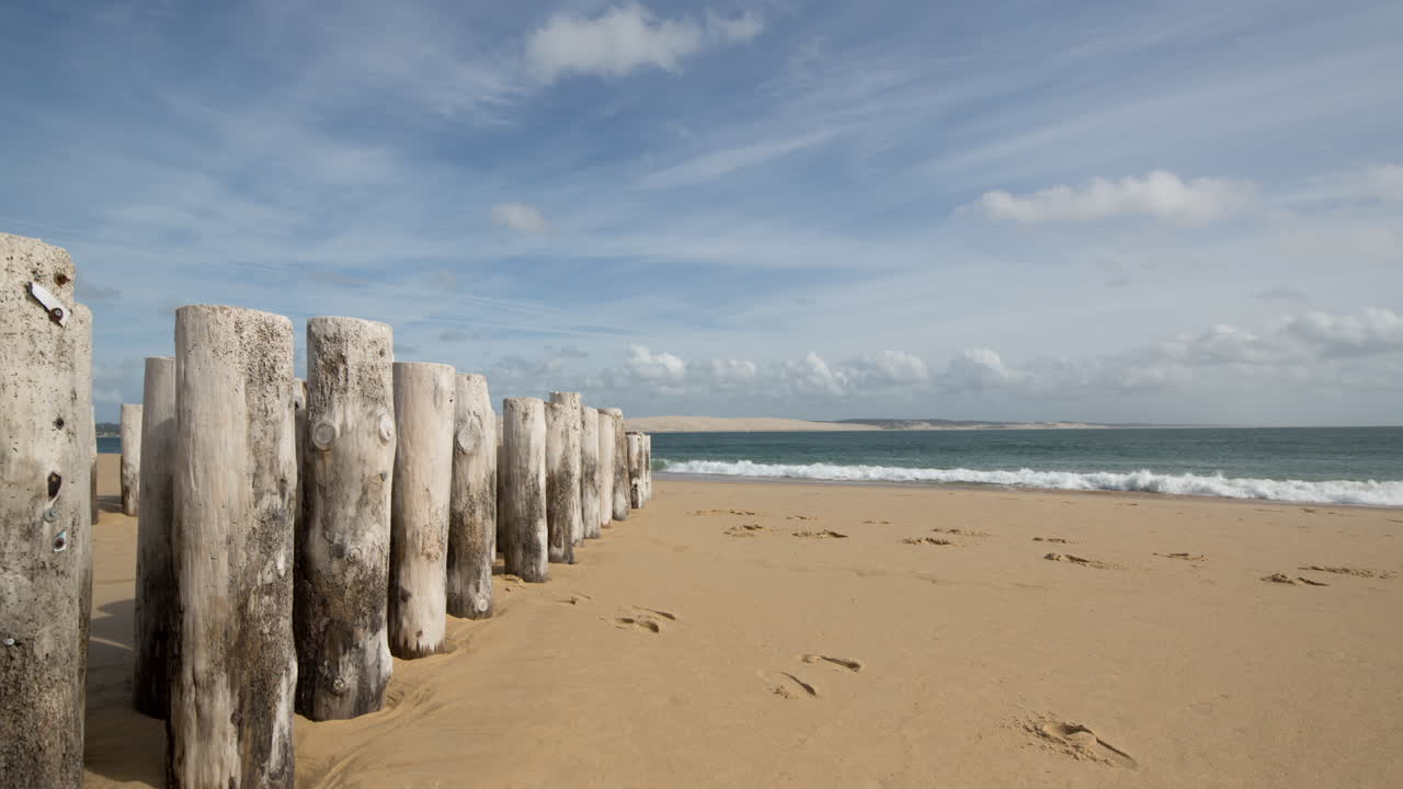 шапочка хорька 00