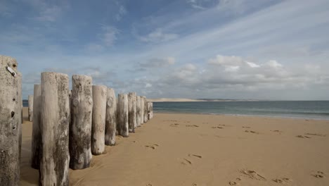 cap ferret 00