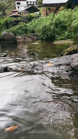 rocky stream and waterfall