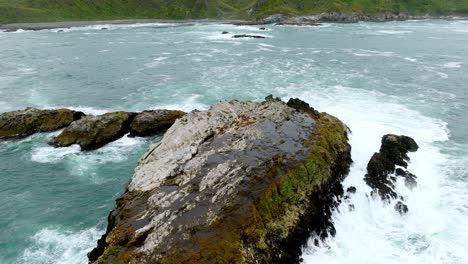 Small-Colony-Of-Sea-Lions-Resting-On-Rock-Island-Beside-Pacific-Ocean-Swells