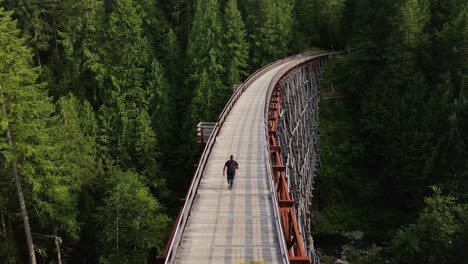 persecución aérea por drones de un hombre que atraviesa un gran puente en el bosque - kinsol caballete, isla de vancouver