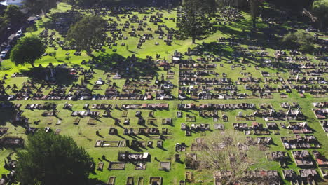 Eine-Weite-Luftaufnahme-Einer-Drohne,-Die-An-Einem-Sonnigen-Tag-Langsam-über-Einen-Großen-Friedhof-In-Australien-Fliegt