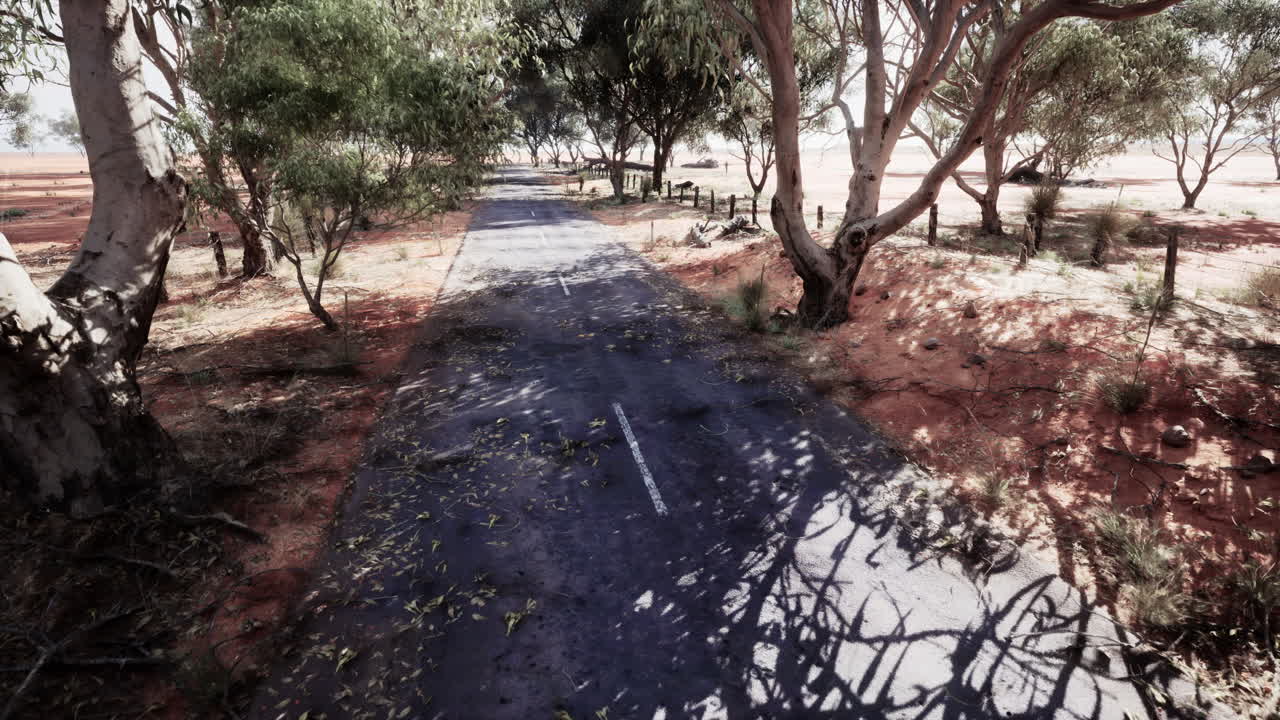 오스트레일리아 외의 외로운 도로