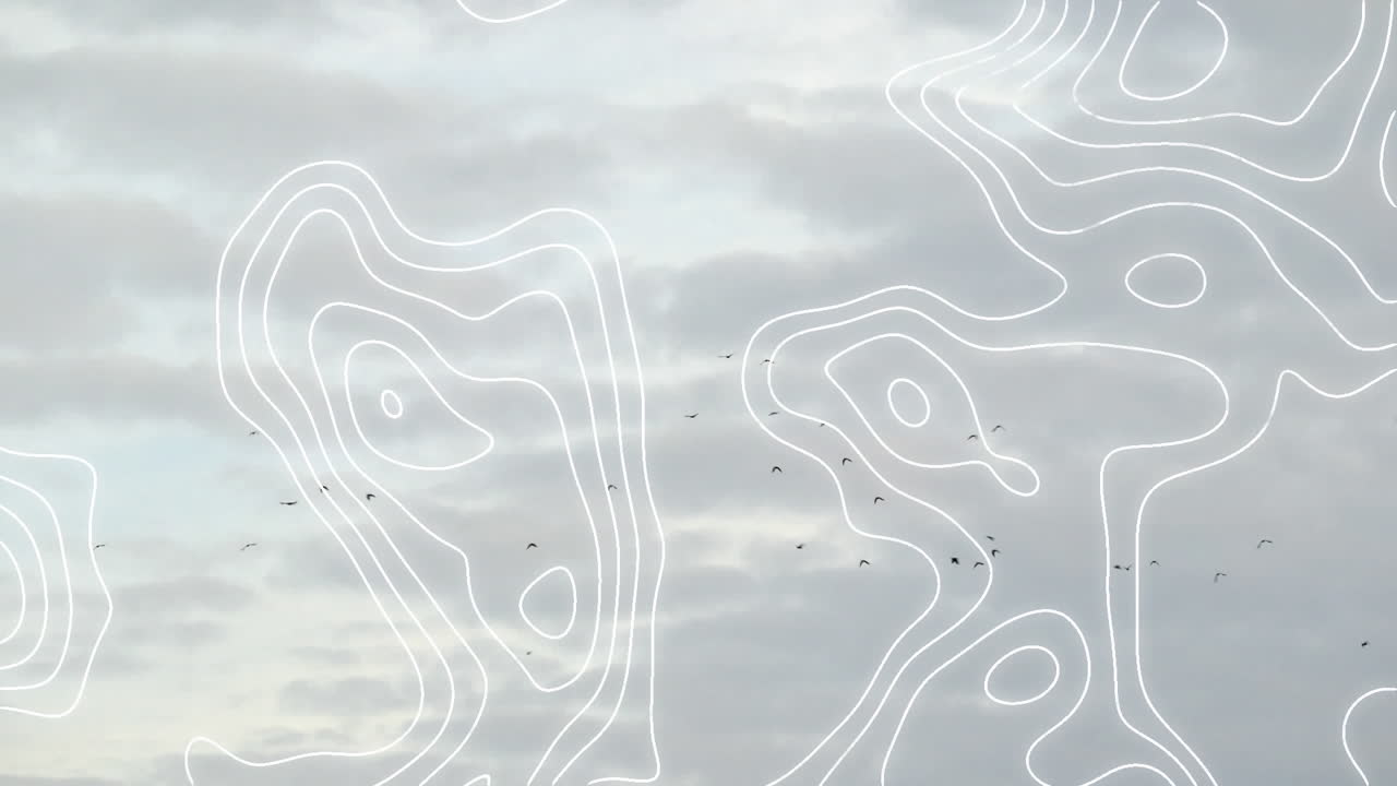 새와 하늘 위의  선 네트워크의 애니메이션