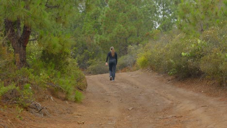 Eine-Langsame-Filmische-Aufnahme-Einer-Frau,-Die-Auf-Einem-Waldweg-Im-Tal-Von-Guimar-Auf-Der-Kanarischen-Insel-Teneriffa-Wandert