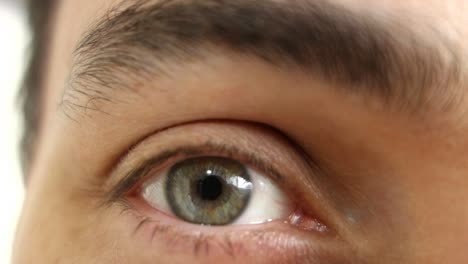 primer plano del ojo humano verde y la ceja