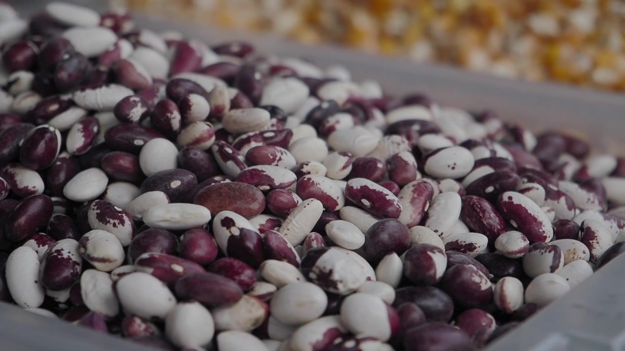 Close-up of a Pile of Mixed White and Red Dry Beans