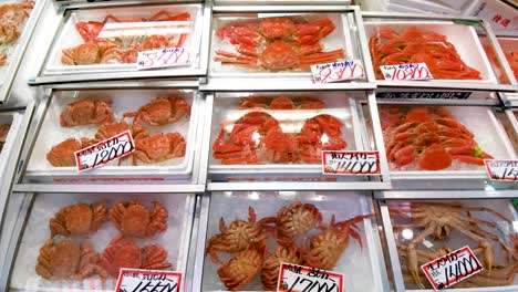 fresh seafood at a japanese market