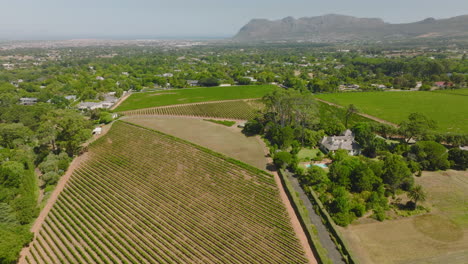 Green-fields-around-farms-or-luxury-residences.-Tilt-up-reveal-on-large-city-and-mountains-in-distance.-Cape-Town,-South-Africa