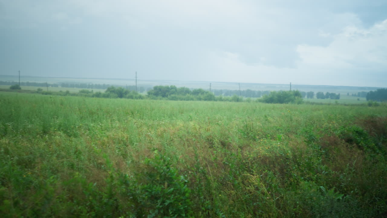 구름이 가득한 하늘 아래 어져 있는 관목, 나무, 멀리 떨어진 전선으로 둘러싸인 초록색 이 지평선 쪽으로 어 있는 광경
