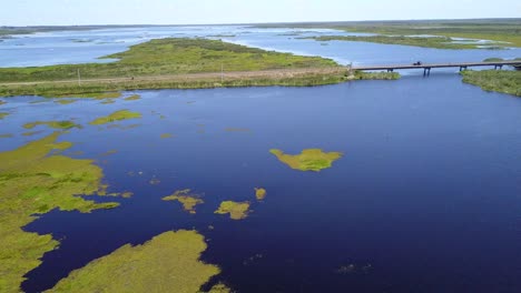 Wetlands-of-northeast-Argentina-shooted-with-drone