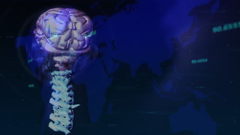 animación del mapa del mundo y los números sobre el cerebro giratorio sobre un fondo azul oscuro