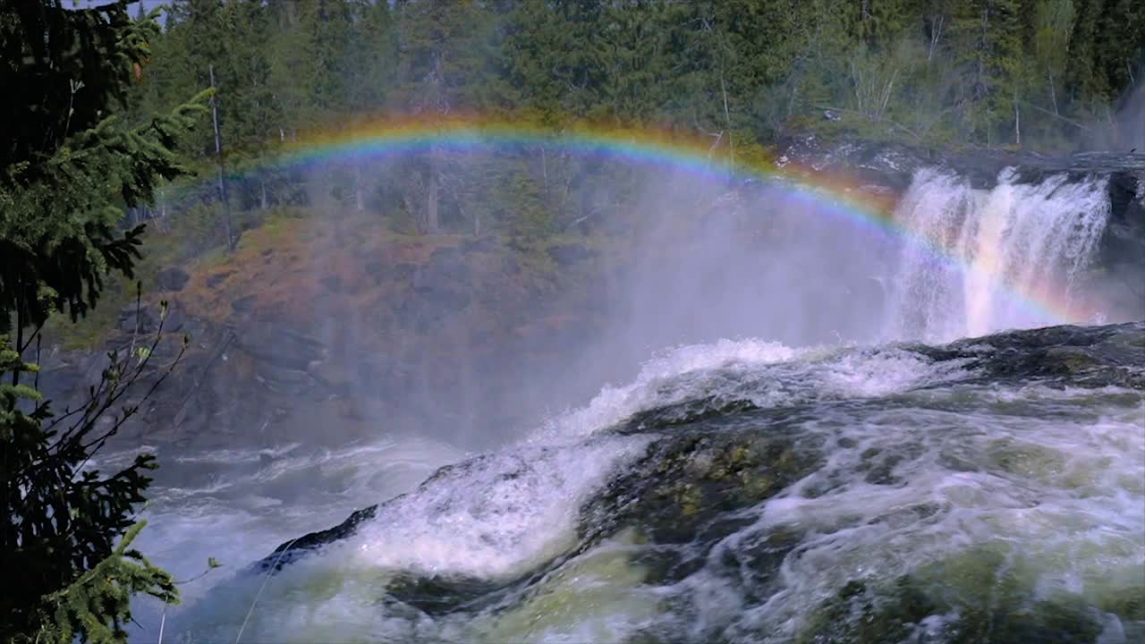 video en cámara lenta la cascada de ristafallet en la parte occidental de jamtland está catalogada como una de las cascadas más hermosas de suecia.
