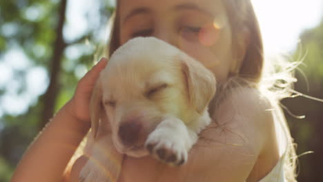 close-up view of a caucasian little girl holding and petting a small labrador puppy while looking at camera in the park on a summer day