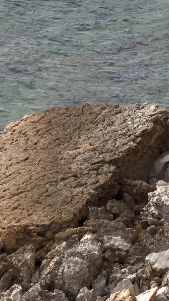 Ripresa dall'alto di acqua oceanica turchese che colpisce aspre rocce calcaree sotto la luce del giorno.